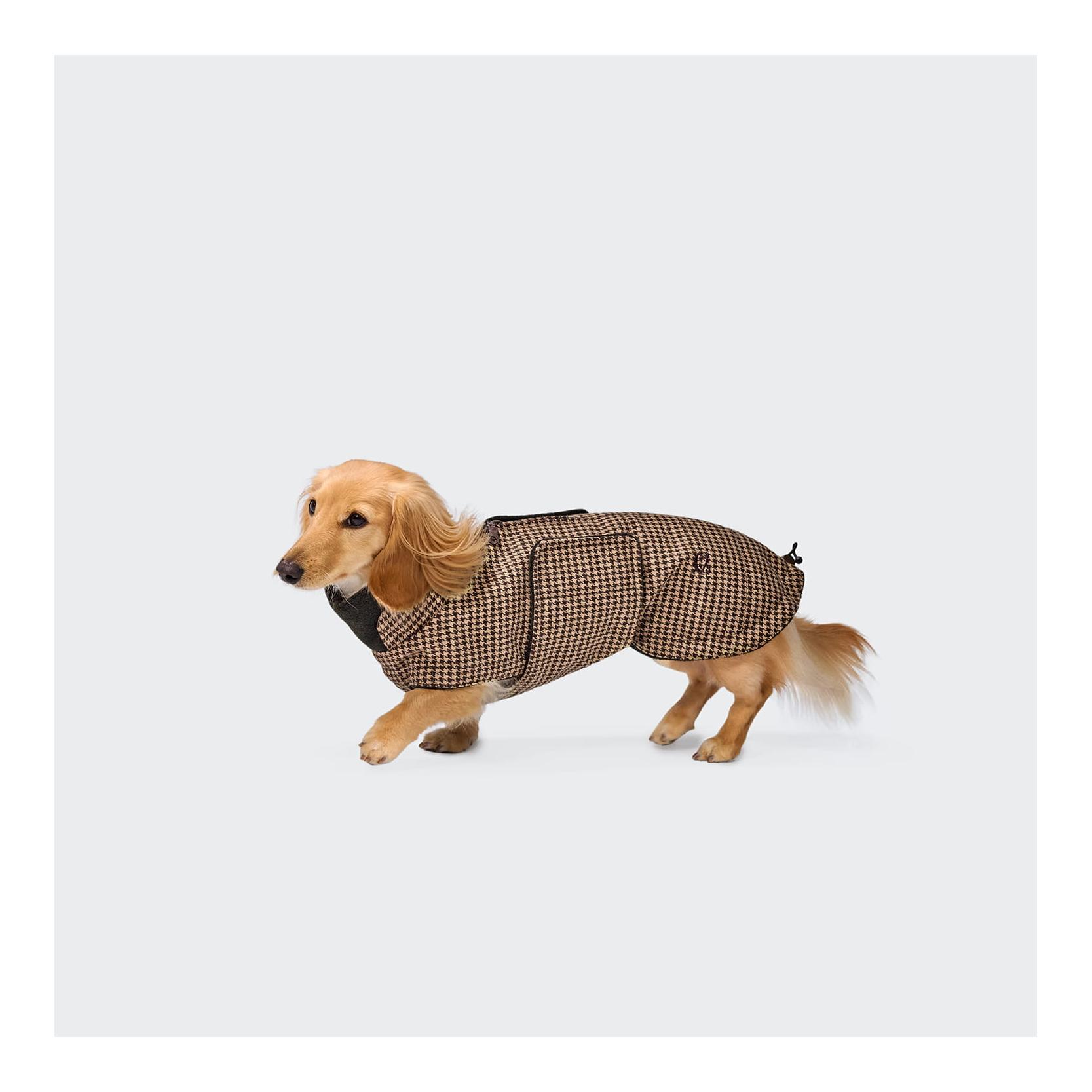 Cloud 7 Hundemantel Brooklyn Dackel