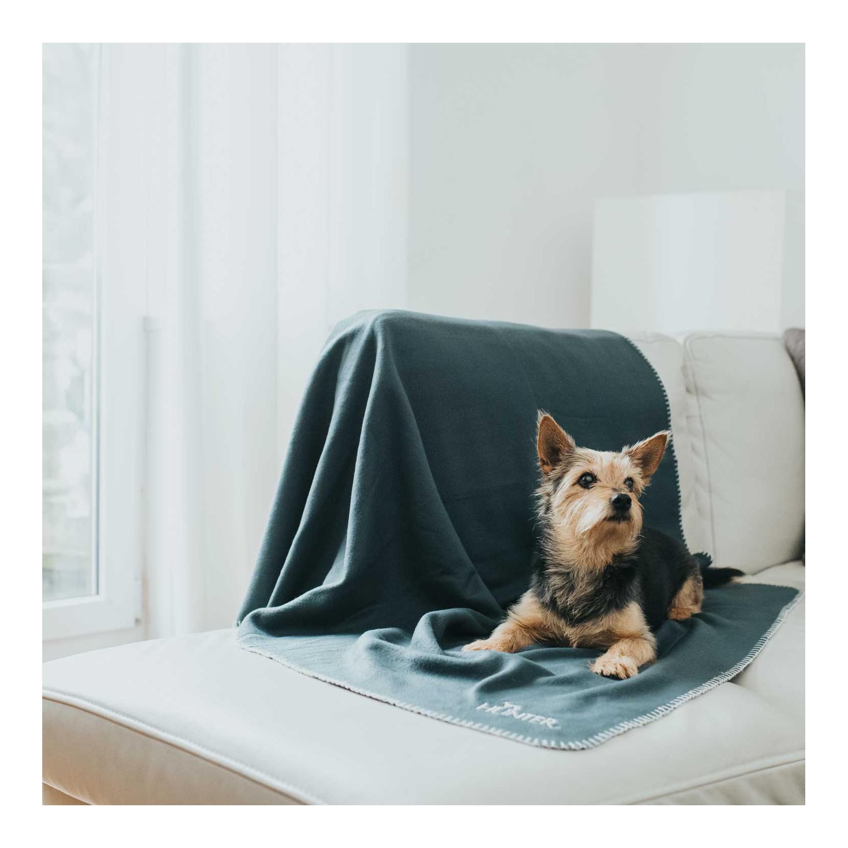 Hunter Hundedecke Casper