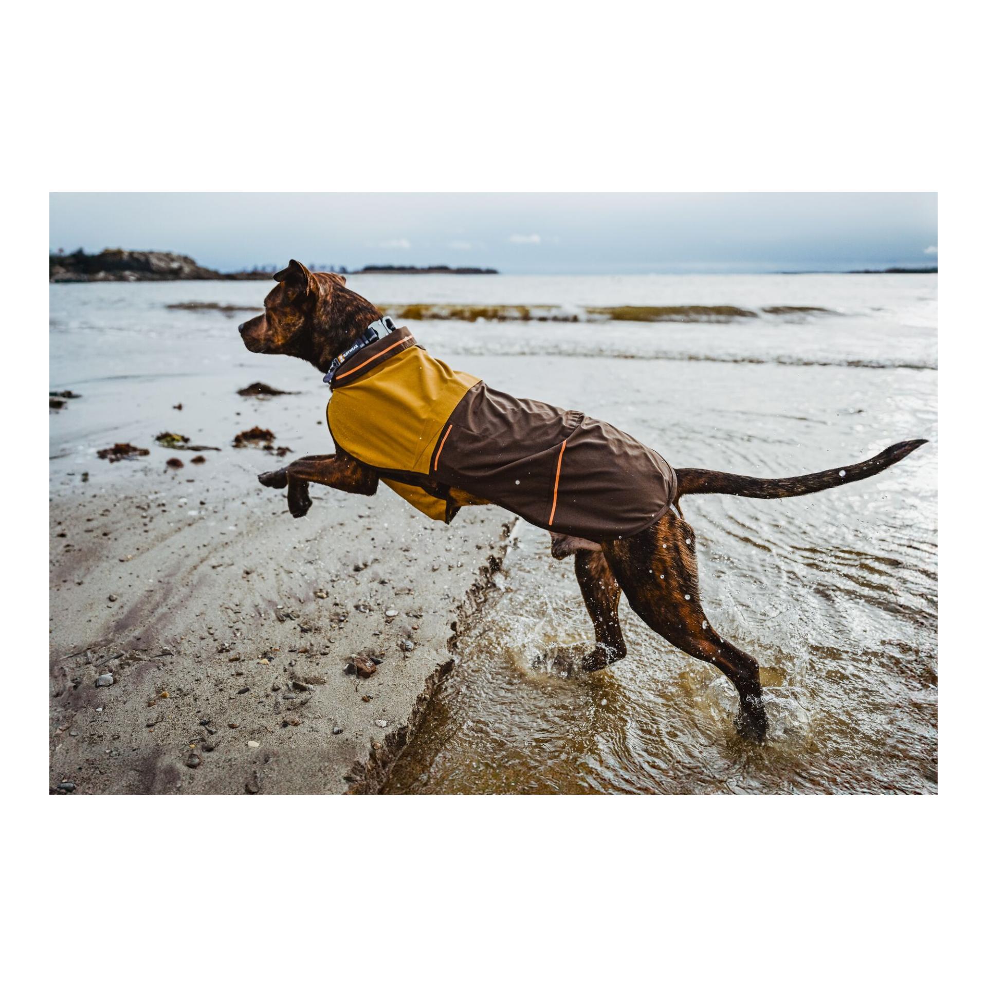 Ruffwear Hundemantel Sun Shower Jacket