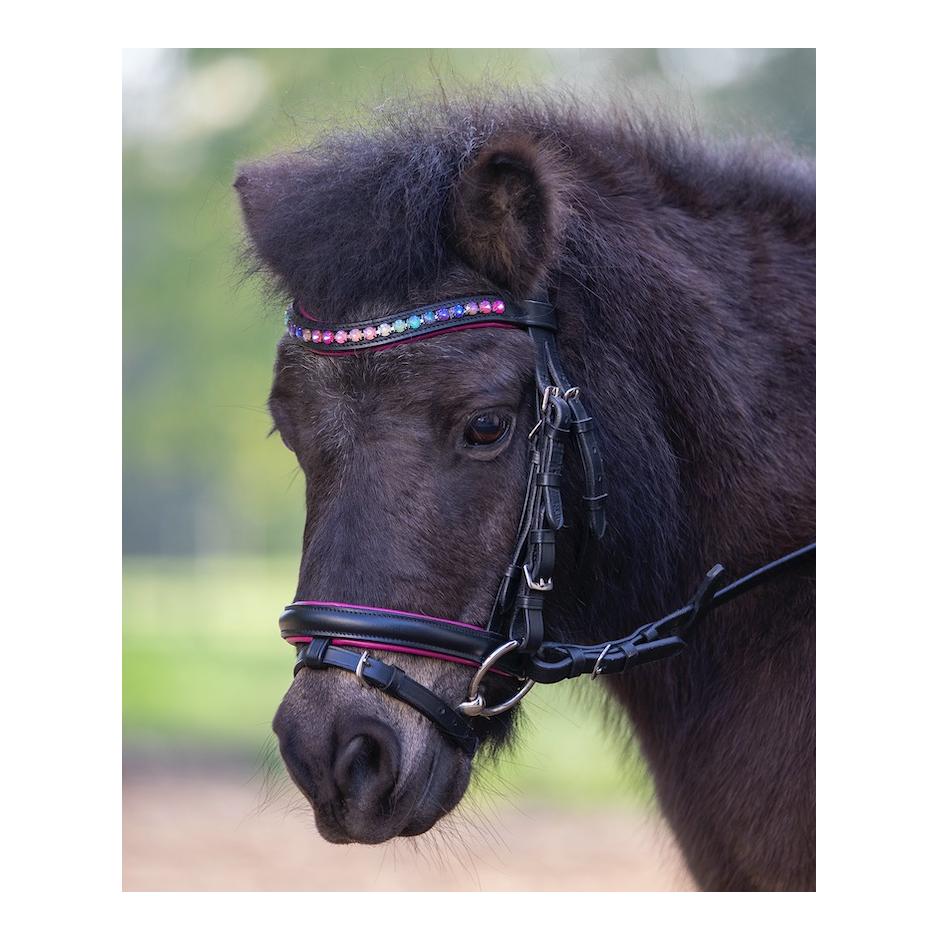 Star Ponyzaum Pinky