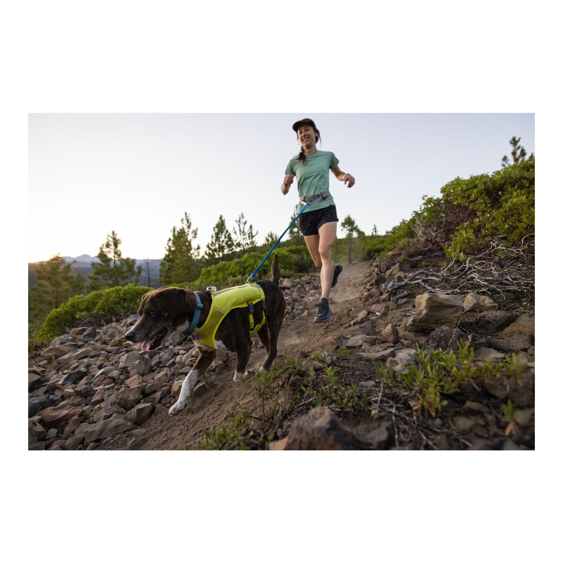 Ruffwear Trail Runner™ Leash Joggingleine