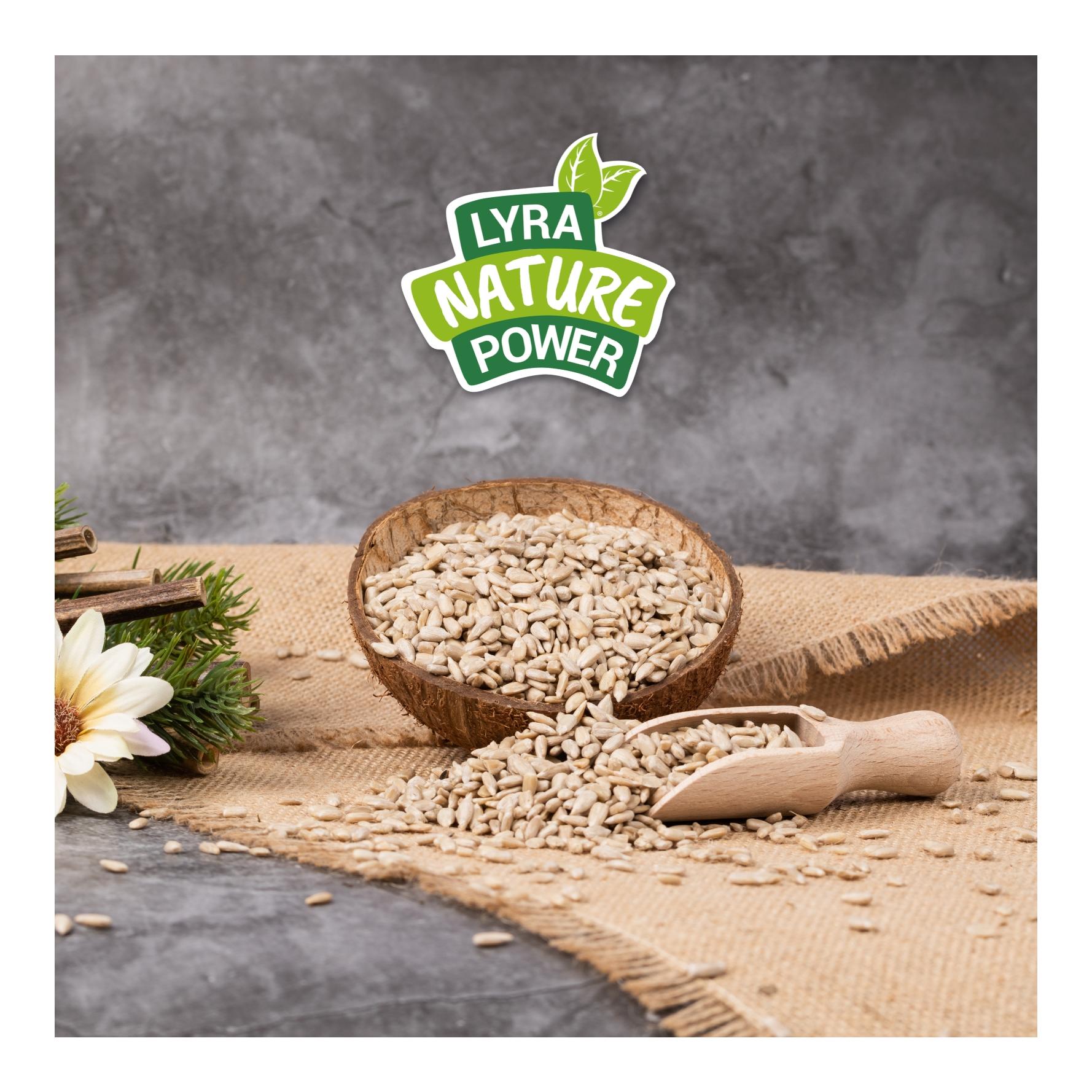 Lyra Pet Sonnenblumenkerne geschält