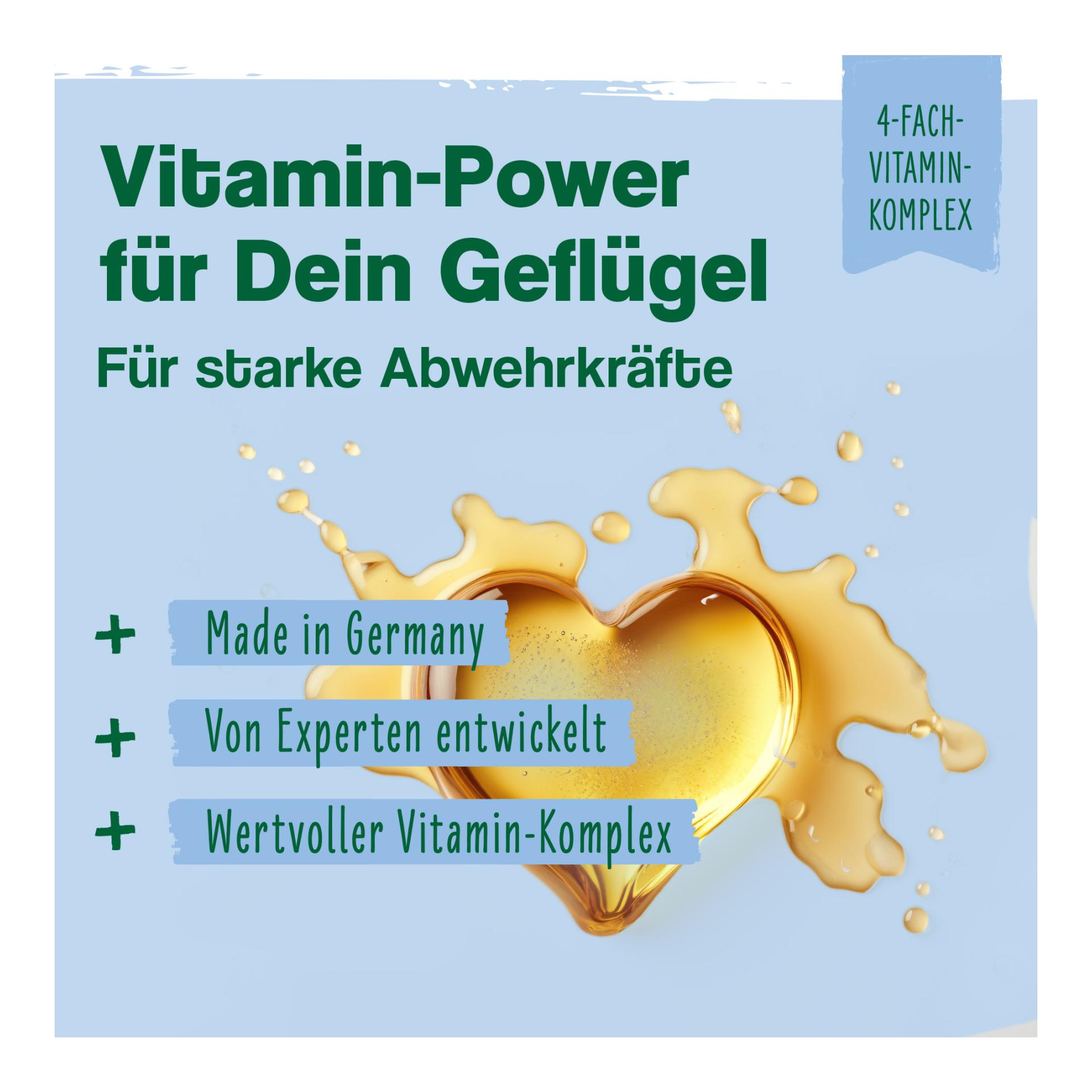 IdaPlus VitalBoost 4in1 – Vitaminkonzentrat für starke Abwehrkräfte