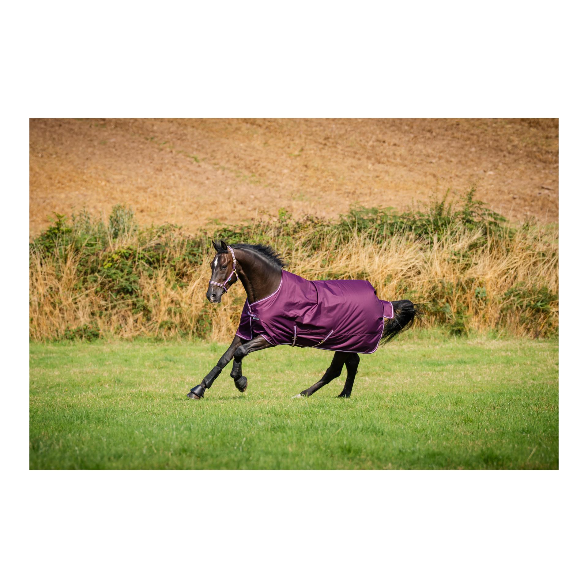Bucas Weidedecke Freedom Turnout 50g