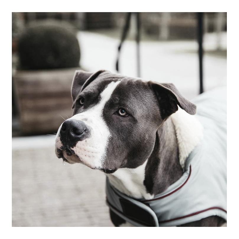 Kentucky Dogwear Manteau imperméable pour chien 160 g - Bleu poussiéreux