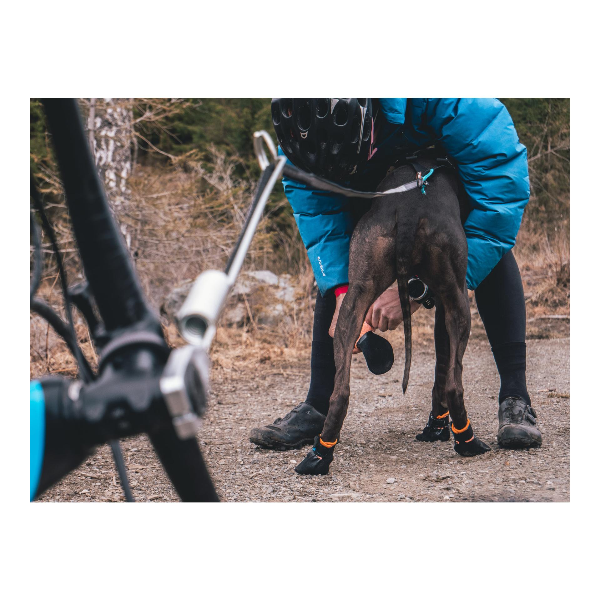 Non-stop Dogwear Protector Booties