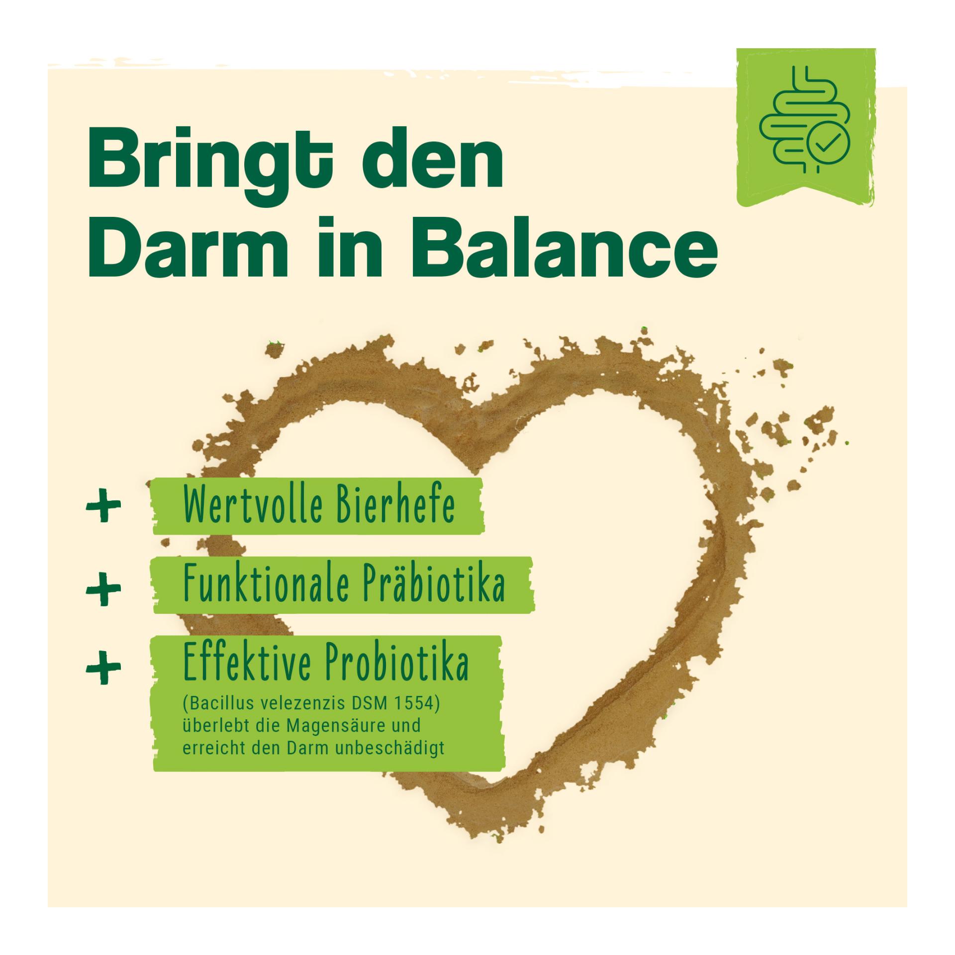 IdaPlus Darmbiotic Pulver - Probiotika zur Darmsanierung für den Hund