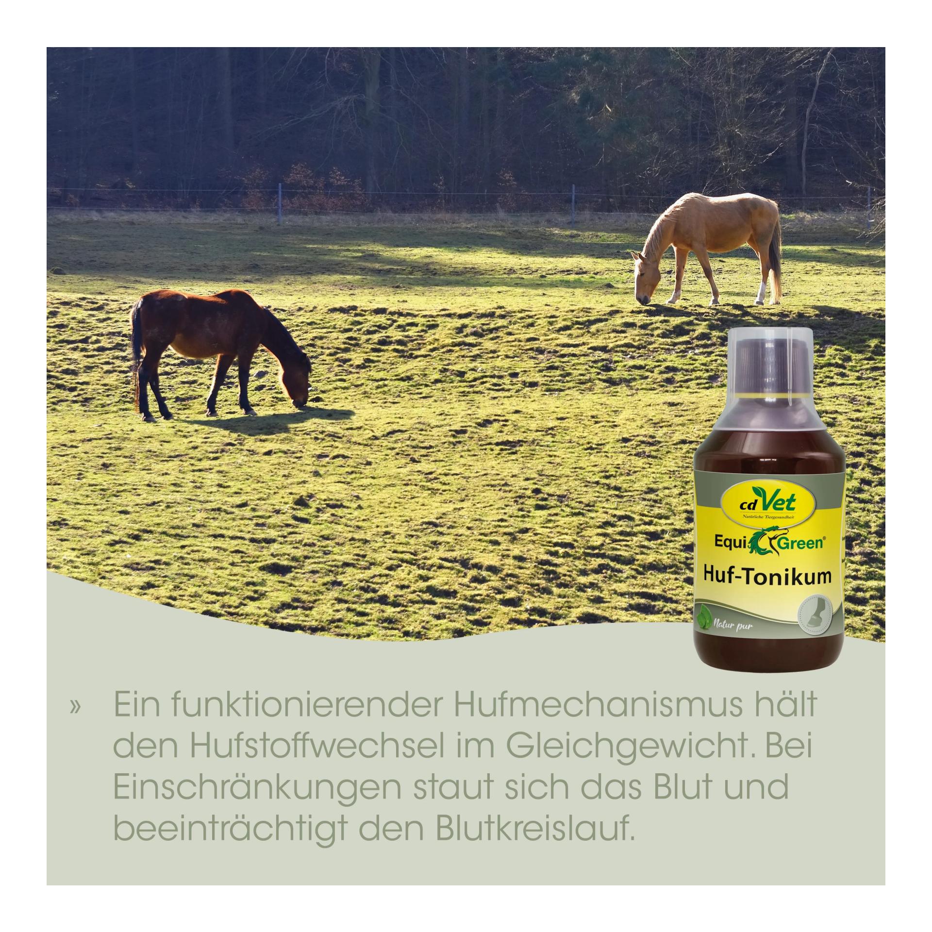 cdVet EquiGreen Tonique pour sabots