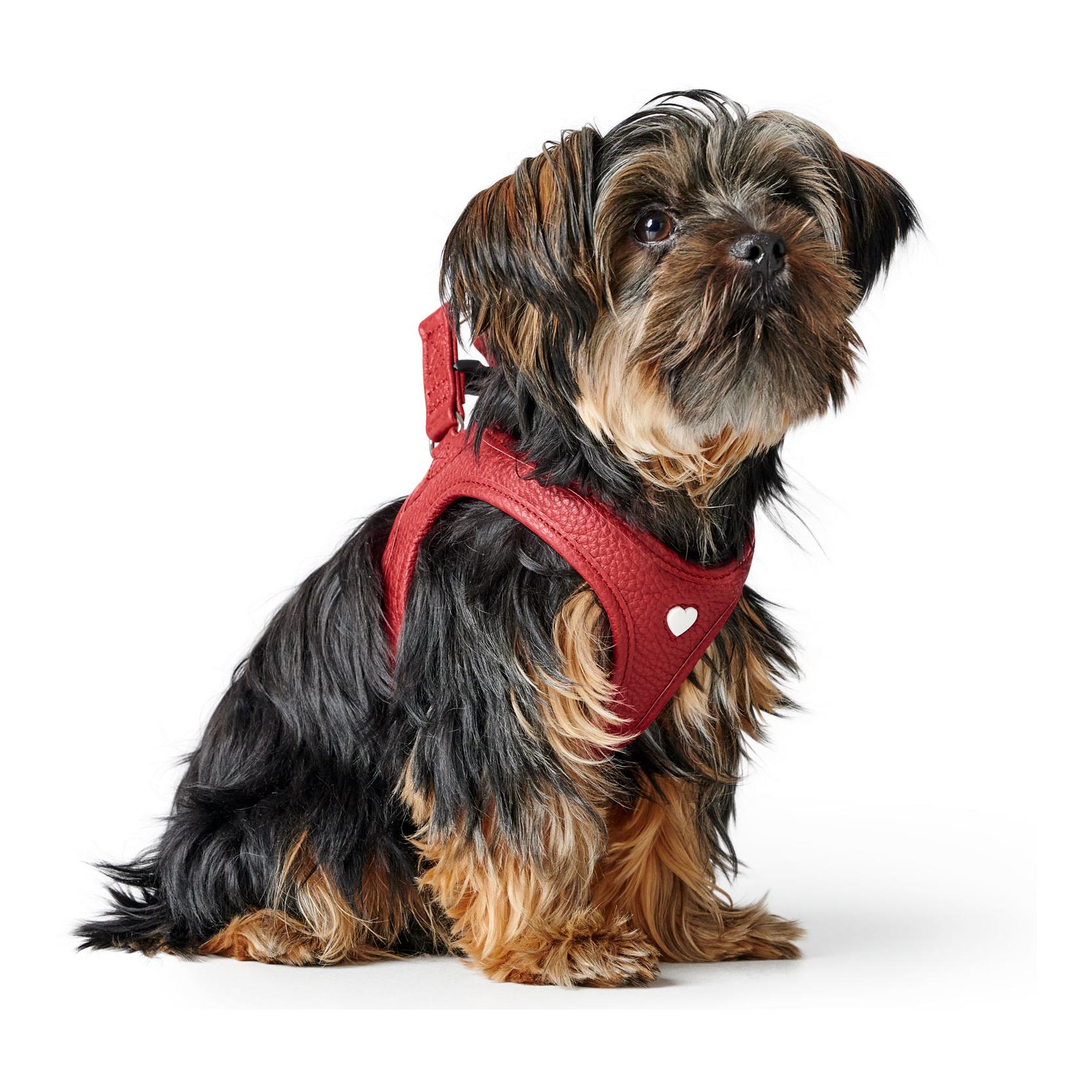 Hunter Harnais pour chien Love