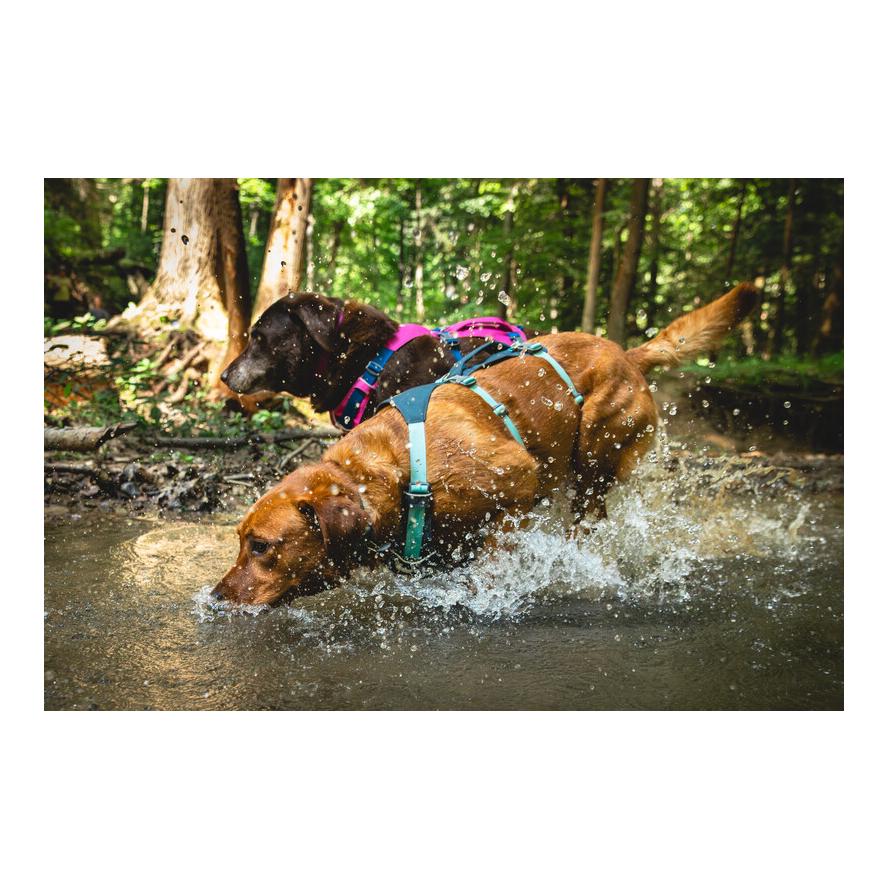 Ruffwear Flagline™ Hundegeschirr