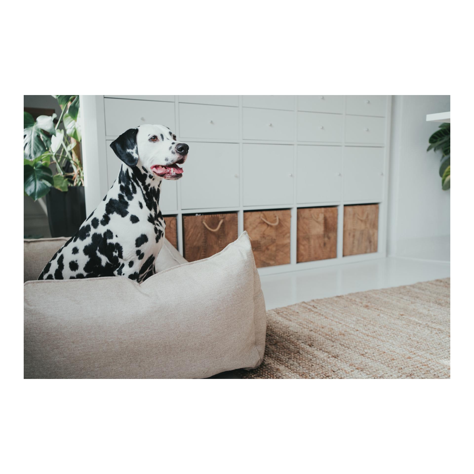 Hunter Hundesofa Livingston webstoff - beige
