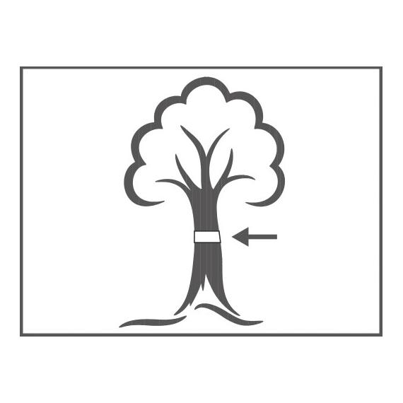 SWISSINNO Raupen- und Ameisenleimring