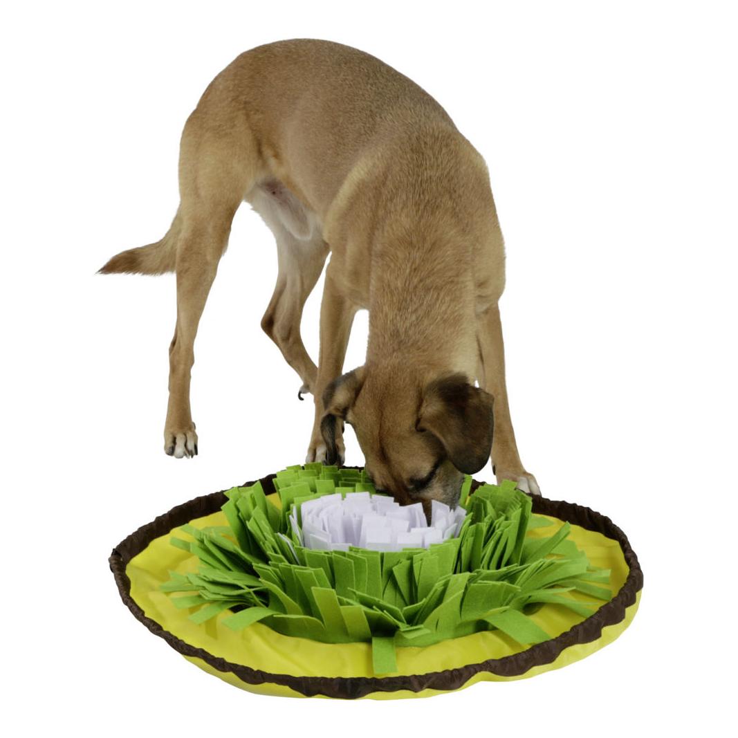 Kerbl Pet Tapis à renifler Bowl - jaune/vert/blanc