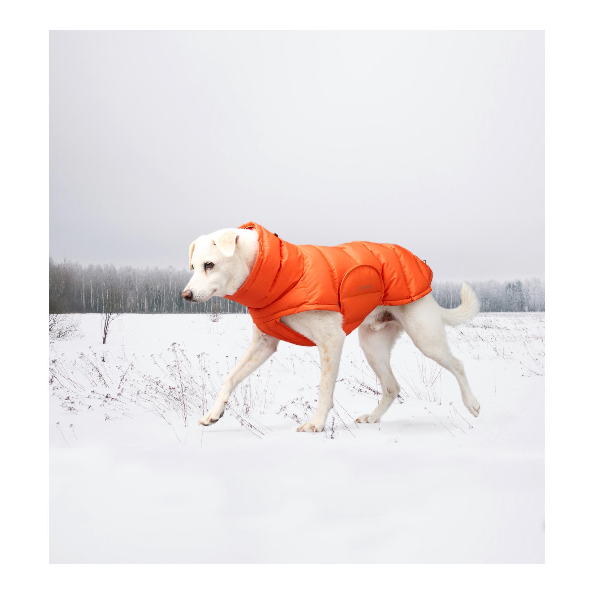 Cloud 7 Hundemantel Alaska