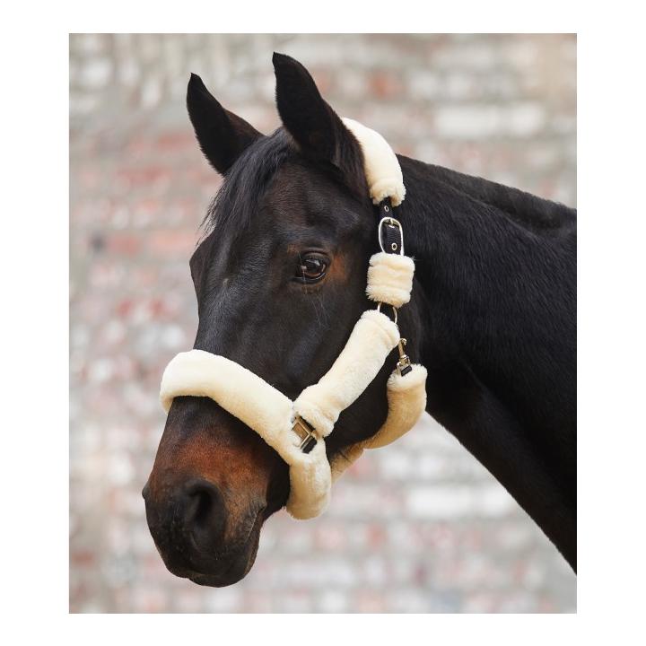 Waldhausen Halfter Cozy