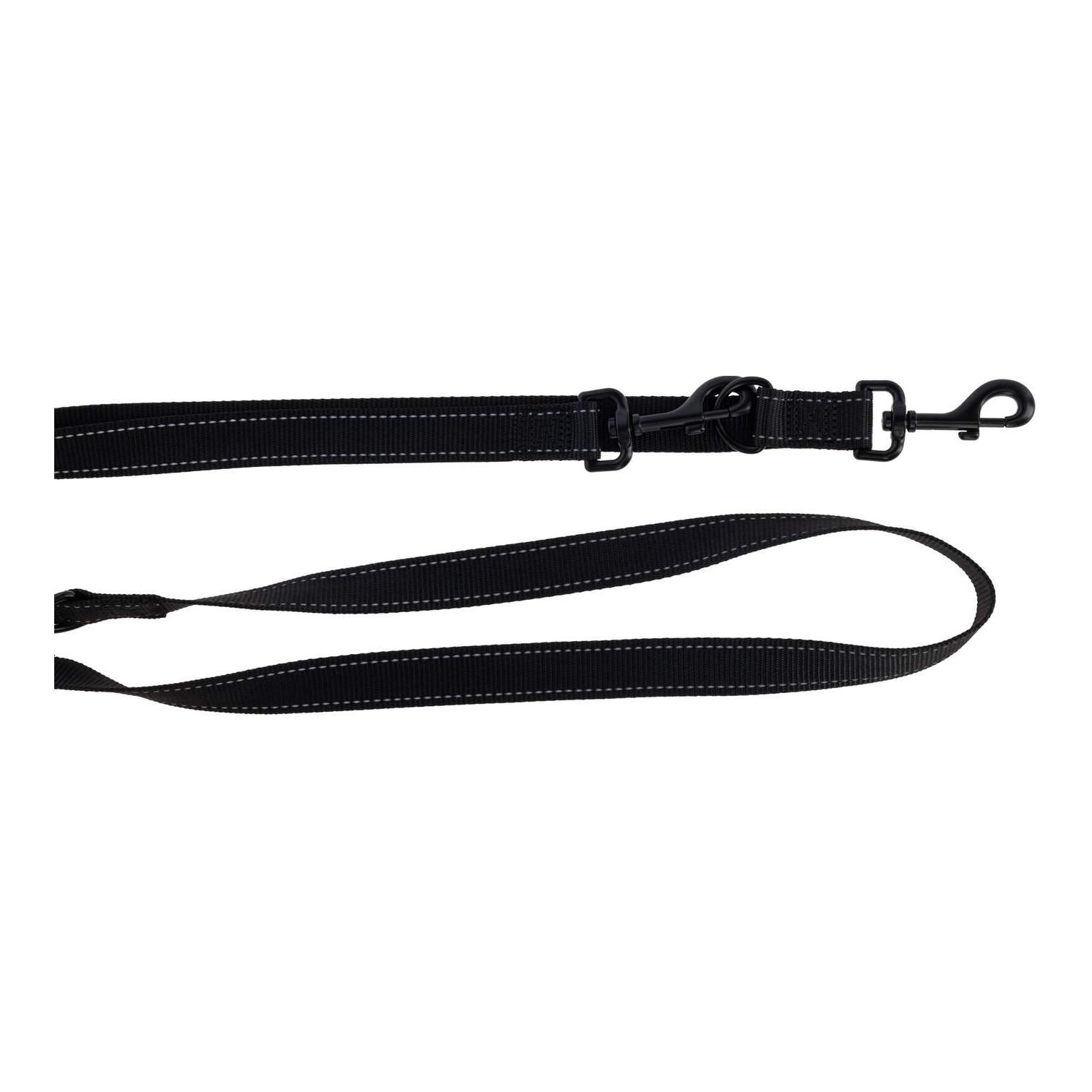 Kerbl Pet Laisse de promenade Dallas