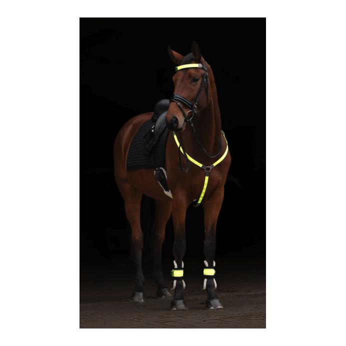 Covalliero Stirnriemen LED