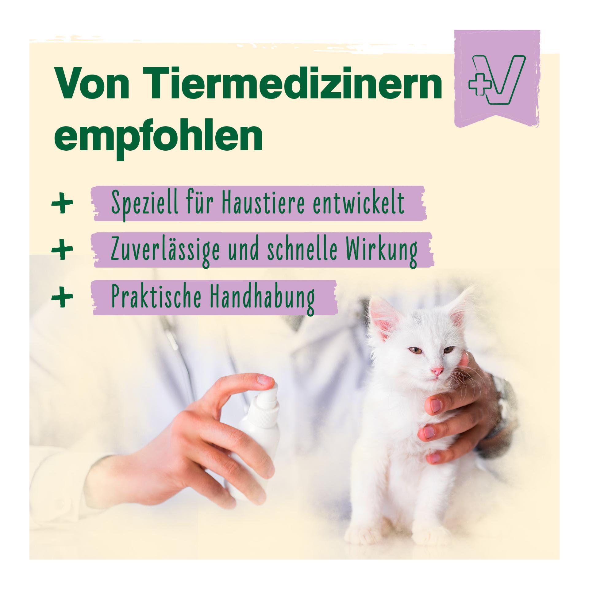 IdaPlus Wundspray "Wund Wunder" für Hunde, Katzen & Pferde - Schutzschild bei Hautverletzungen