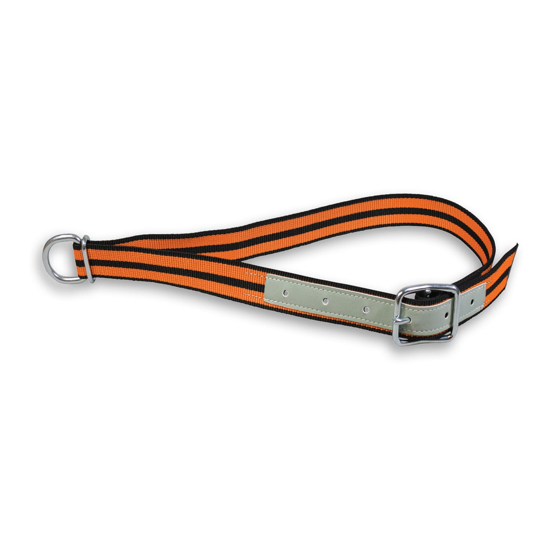 Hauptner Halsband mit Dornschnalle 40 mm