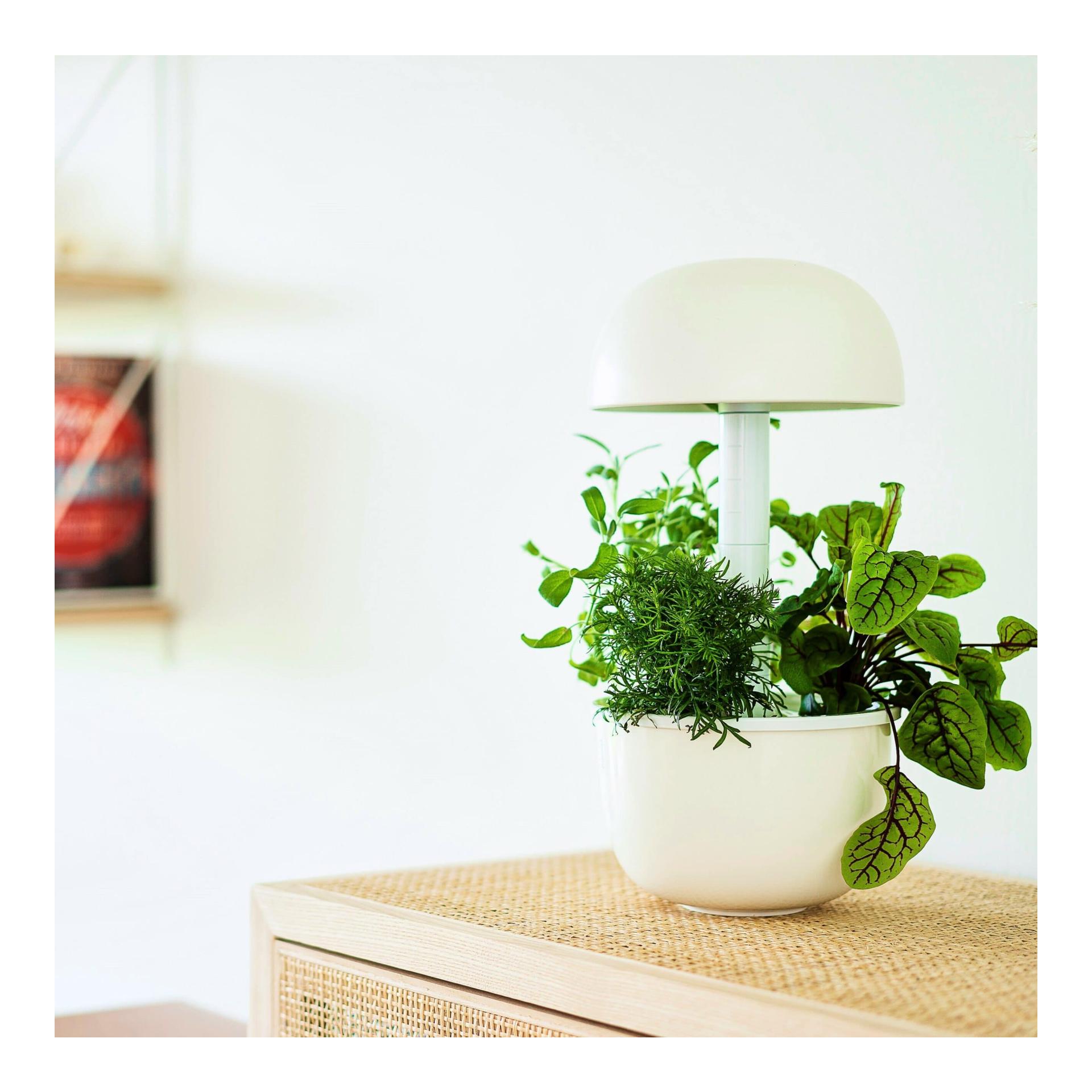 Plantui Smart Garden 3e