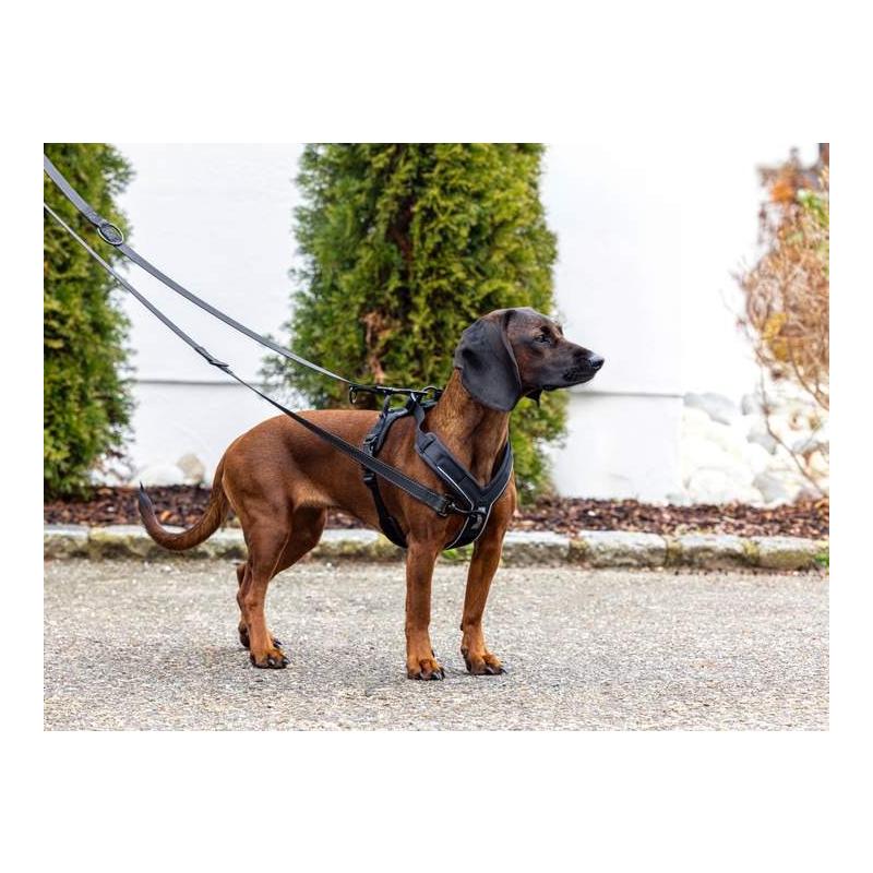 Kerbl Pet Hundegeschirr Dallas