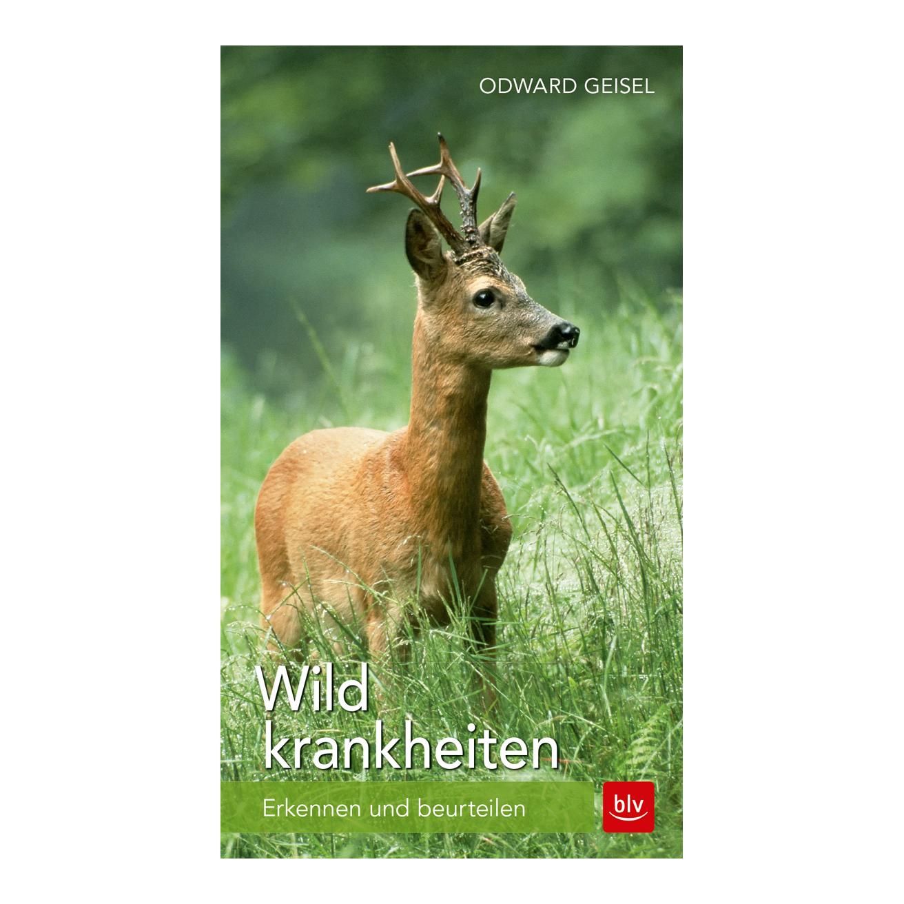 BLV Wildkrankheiten - Erkennen und beurteilen