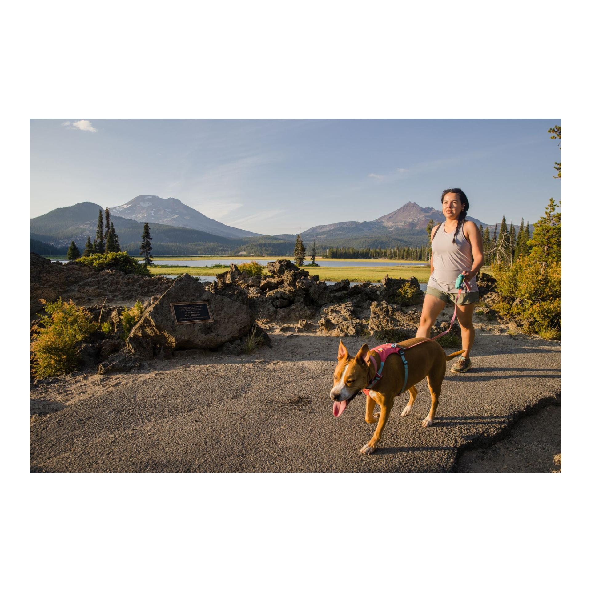 Ruffwear Stash Bag Mini™ Distributeur de sacs à crottes