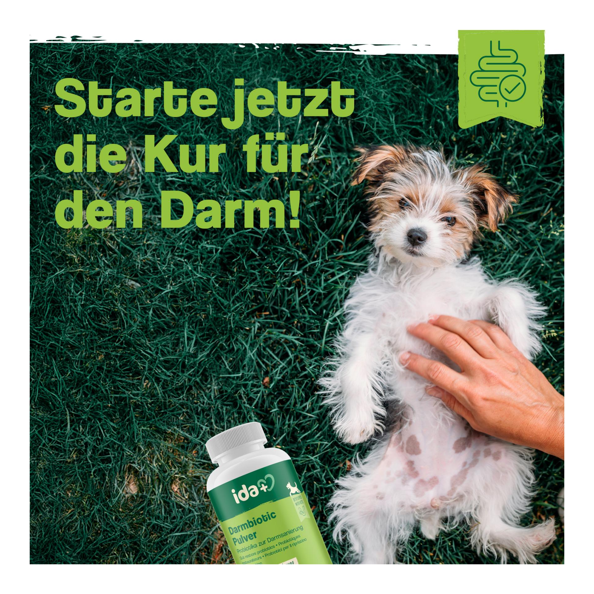 IdaPlus Darmbiotic Pulver - Probiotika zur Darmsanierung für den Hund