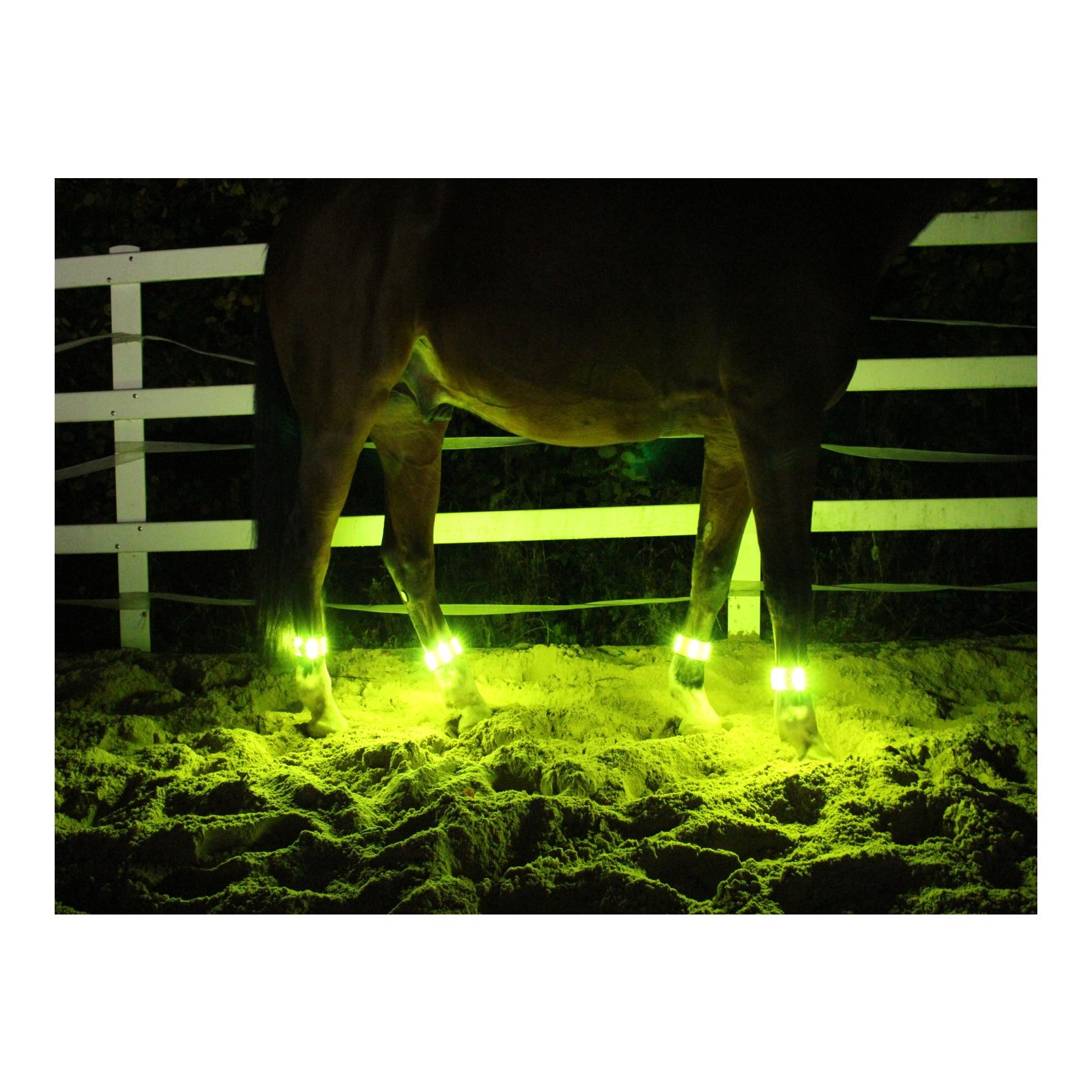 Animal Light LED Leuchtgamaschen Threeple 4er-Set