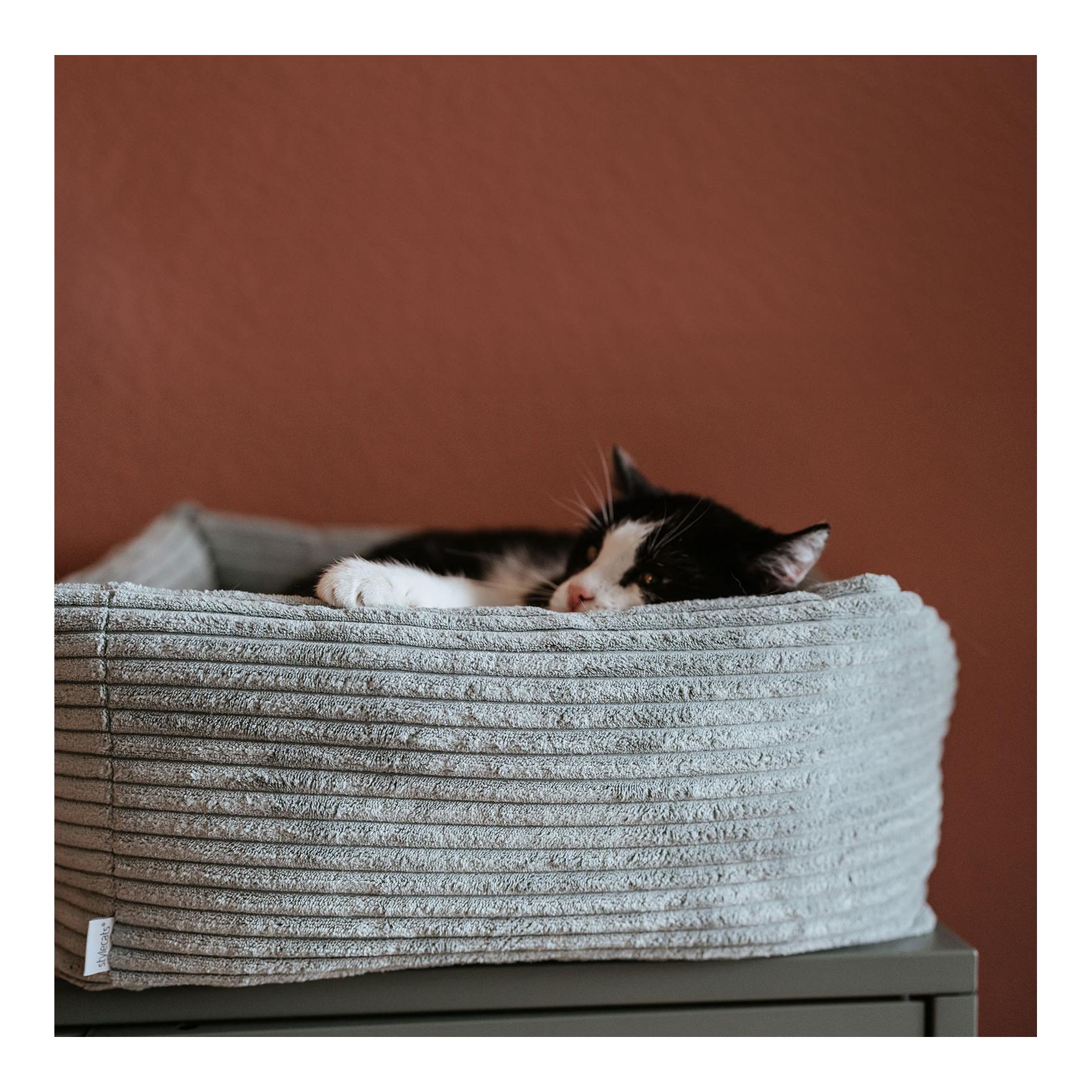 Stylecats by Hunter Katzenbett Rimini