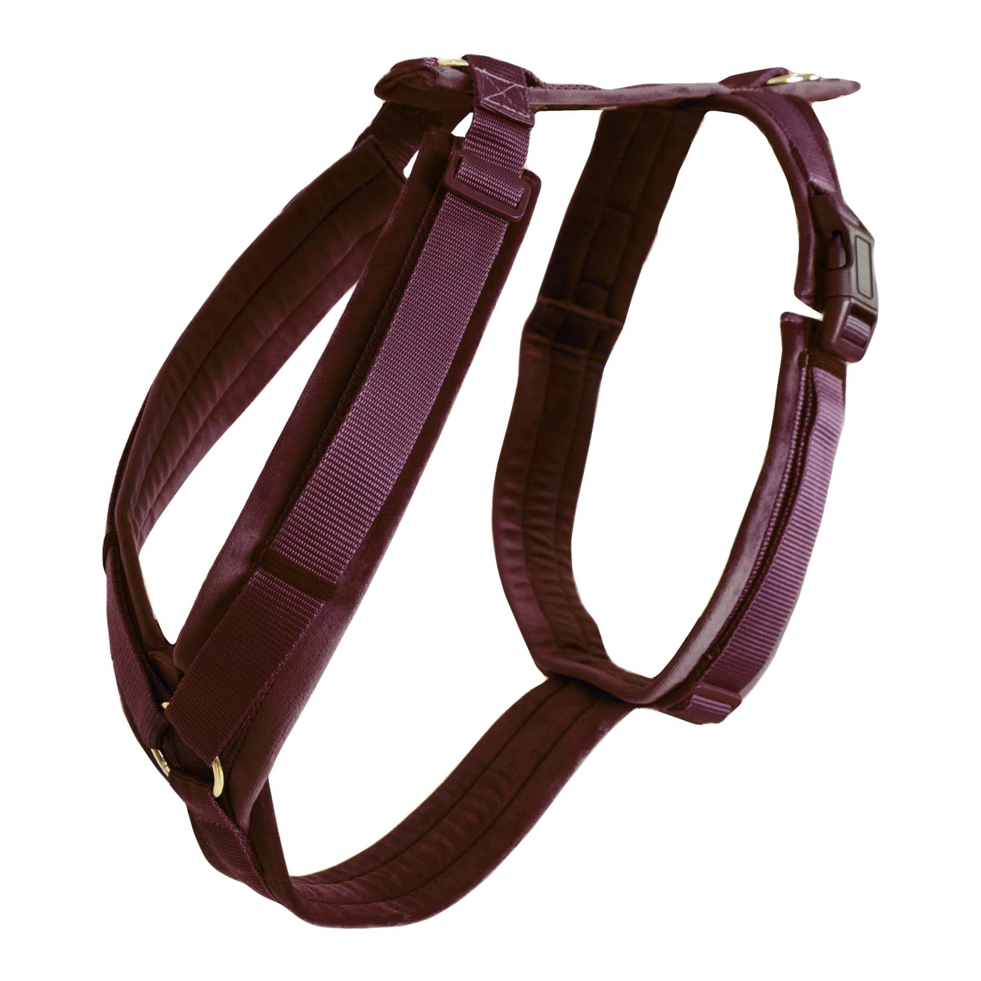 Kentucky Dogwear Harnais pour chien actif velours