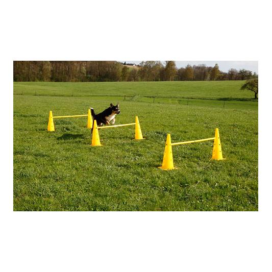 Kerbl Pet Ensemble de cônes et d'obstacles Agility
