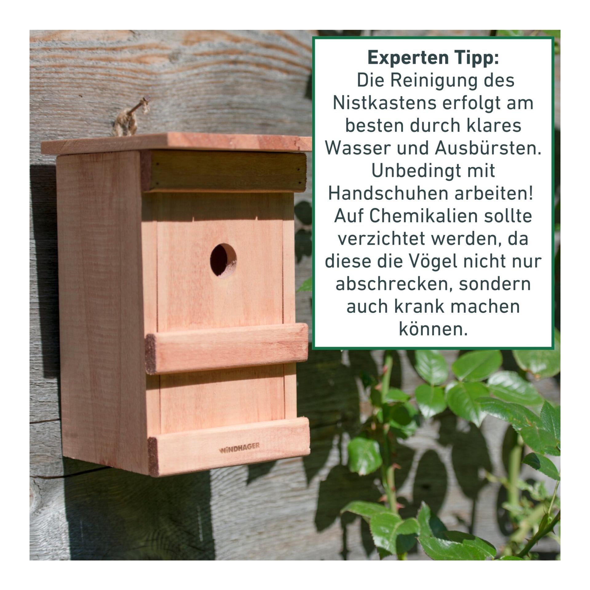 Windhager Nistkasten Birdy - natur