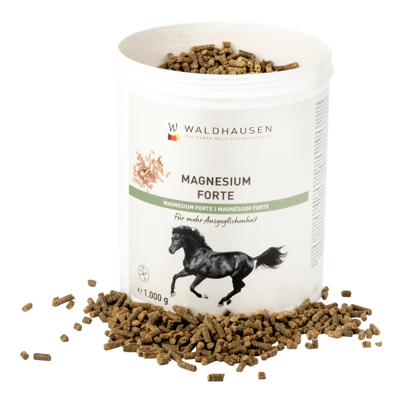 Waldhausen Magnésium Forte – pour des nerfs solides