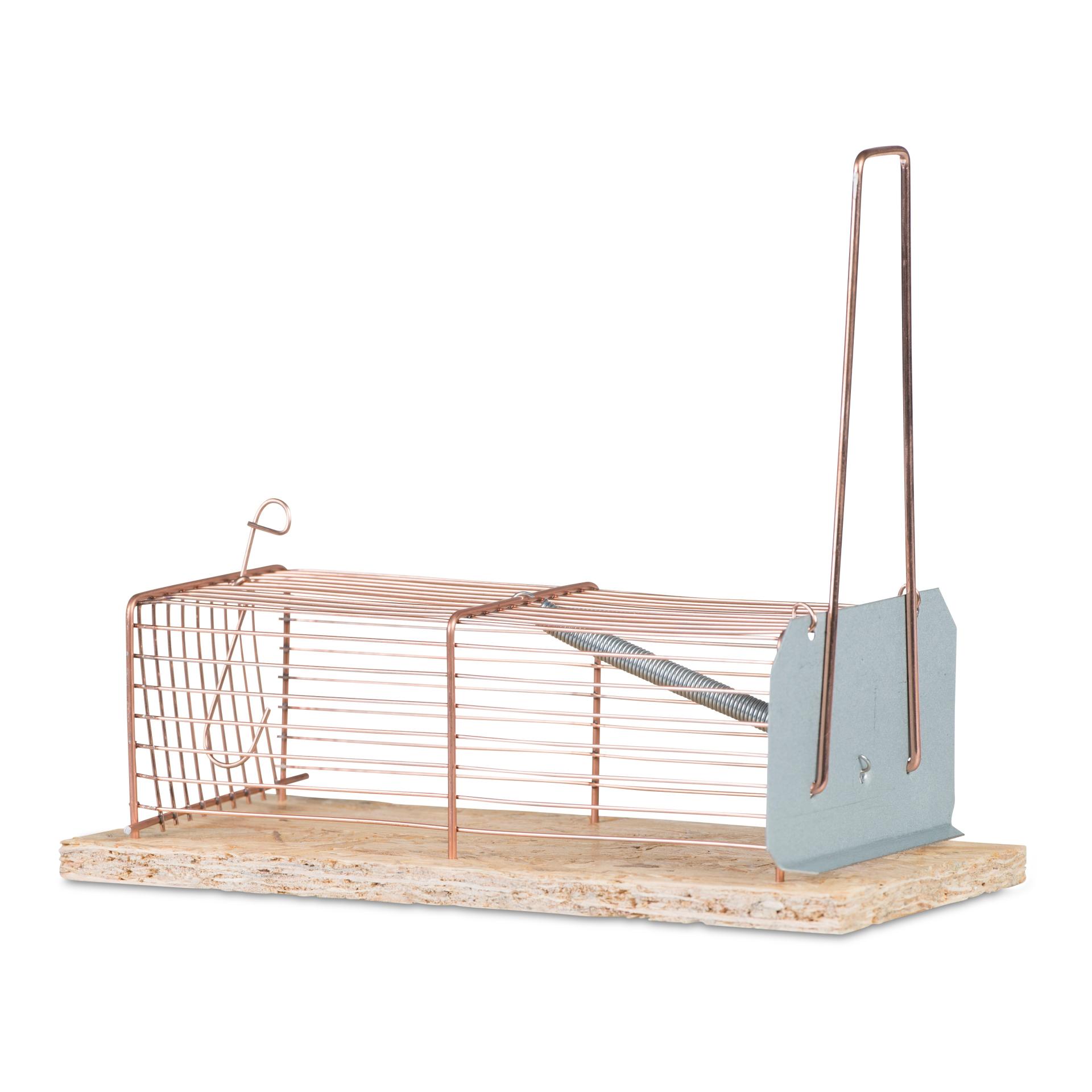Windhager Piège à souris en fil métallique