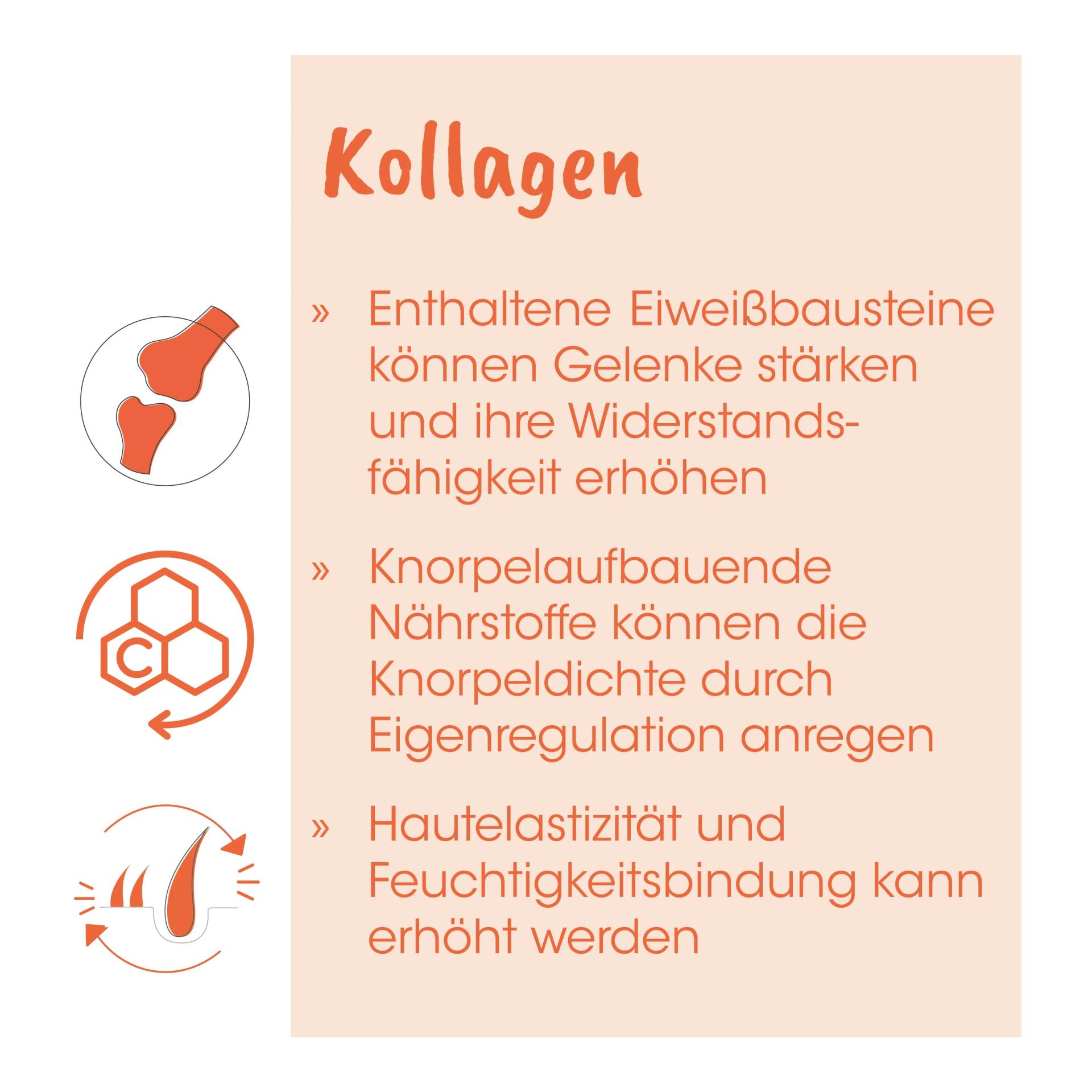 cdVet Singulares Kollagen