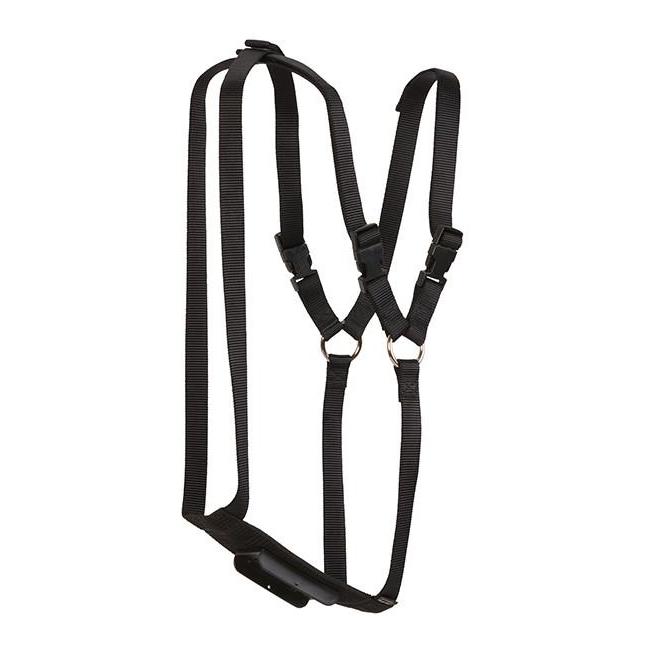 Weaver Livestock Markierungsgeschirr Nylon Schaf Black