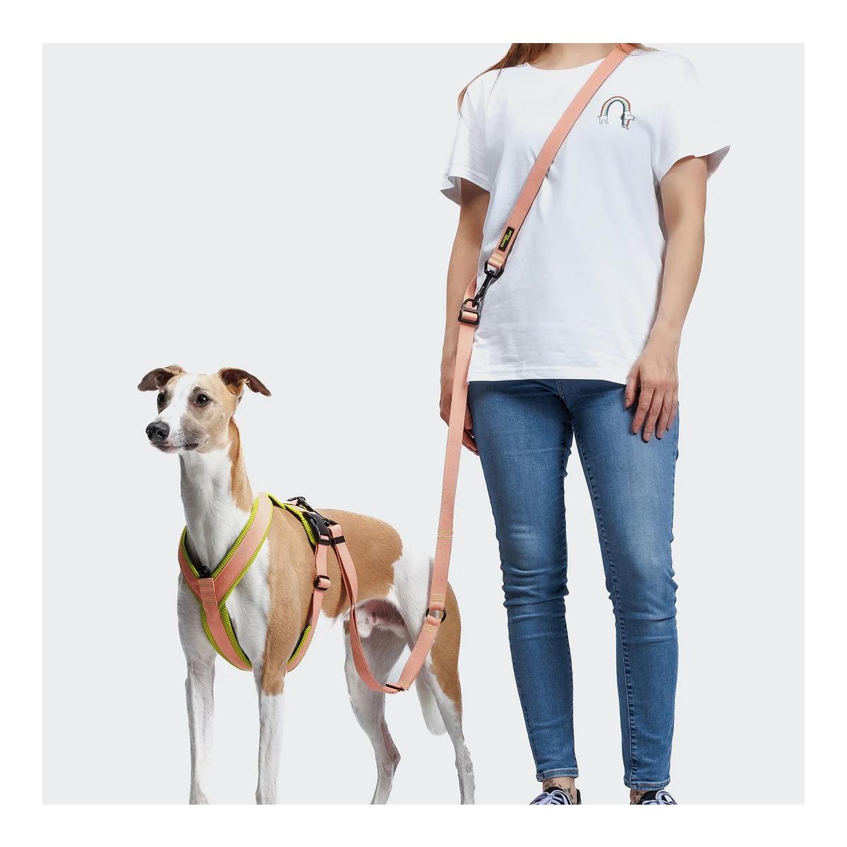 Cloud 7 L-1-Freihandleine