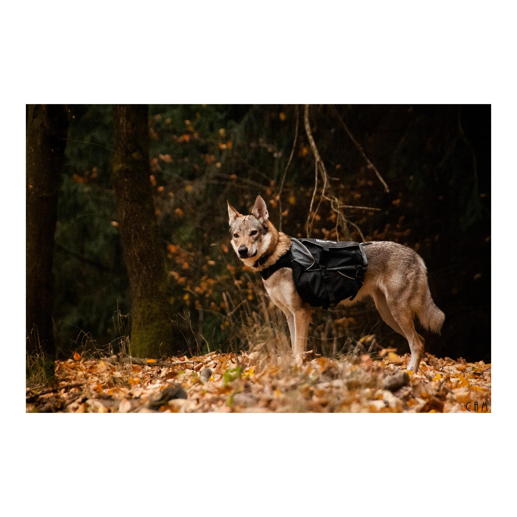 Non-stop Dogwear Amundsen Pack