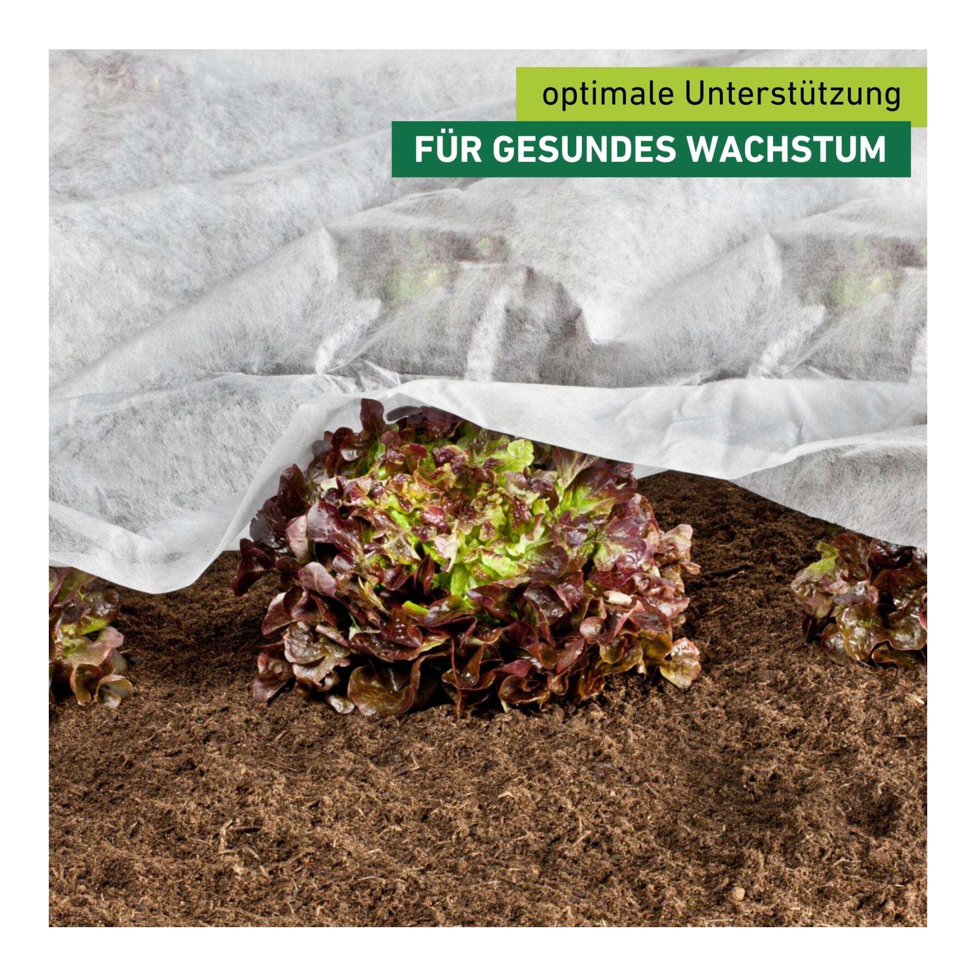 Windhager Wachstumsvlies Greenline