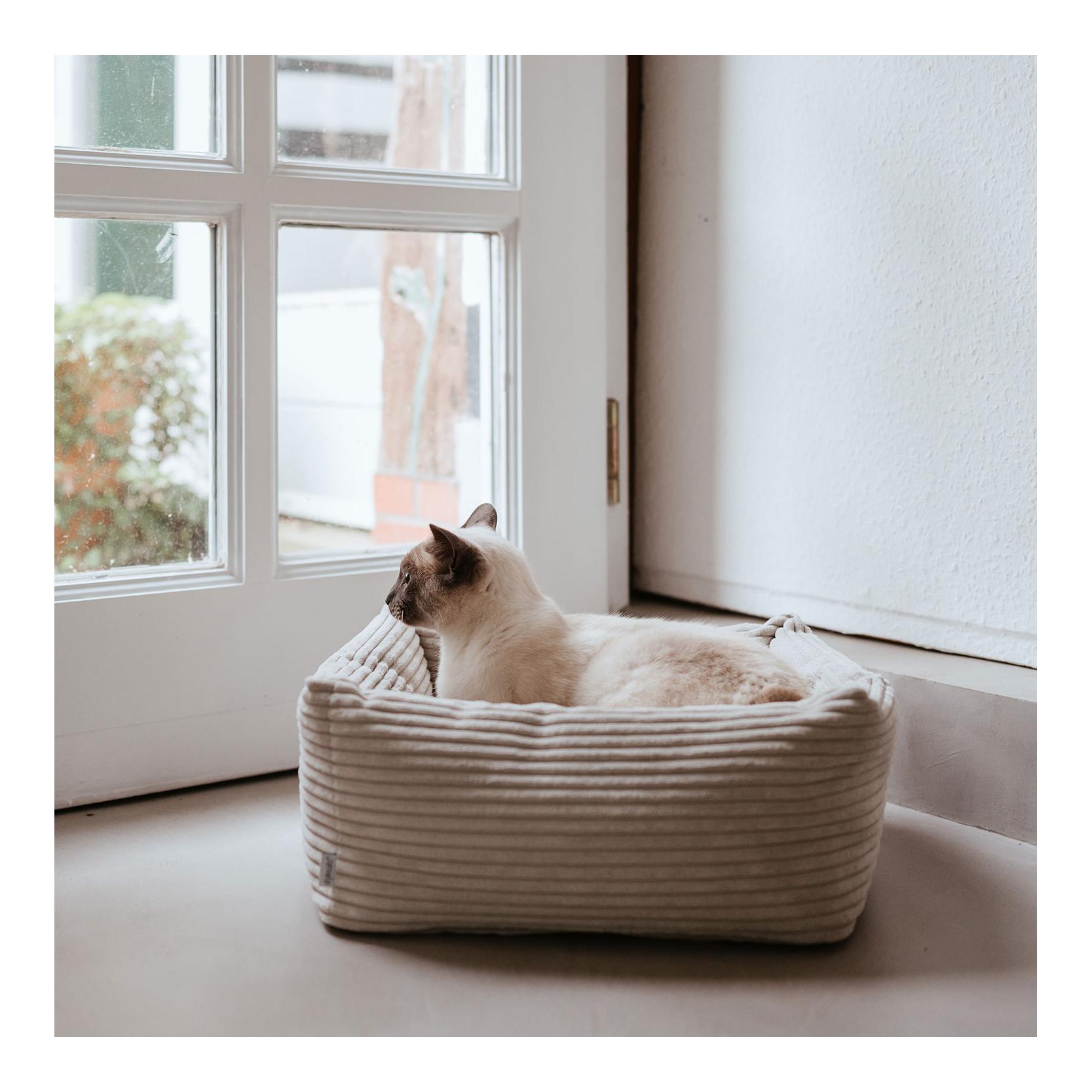 Stylecats by Hunter Katzenbett Rimini