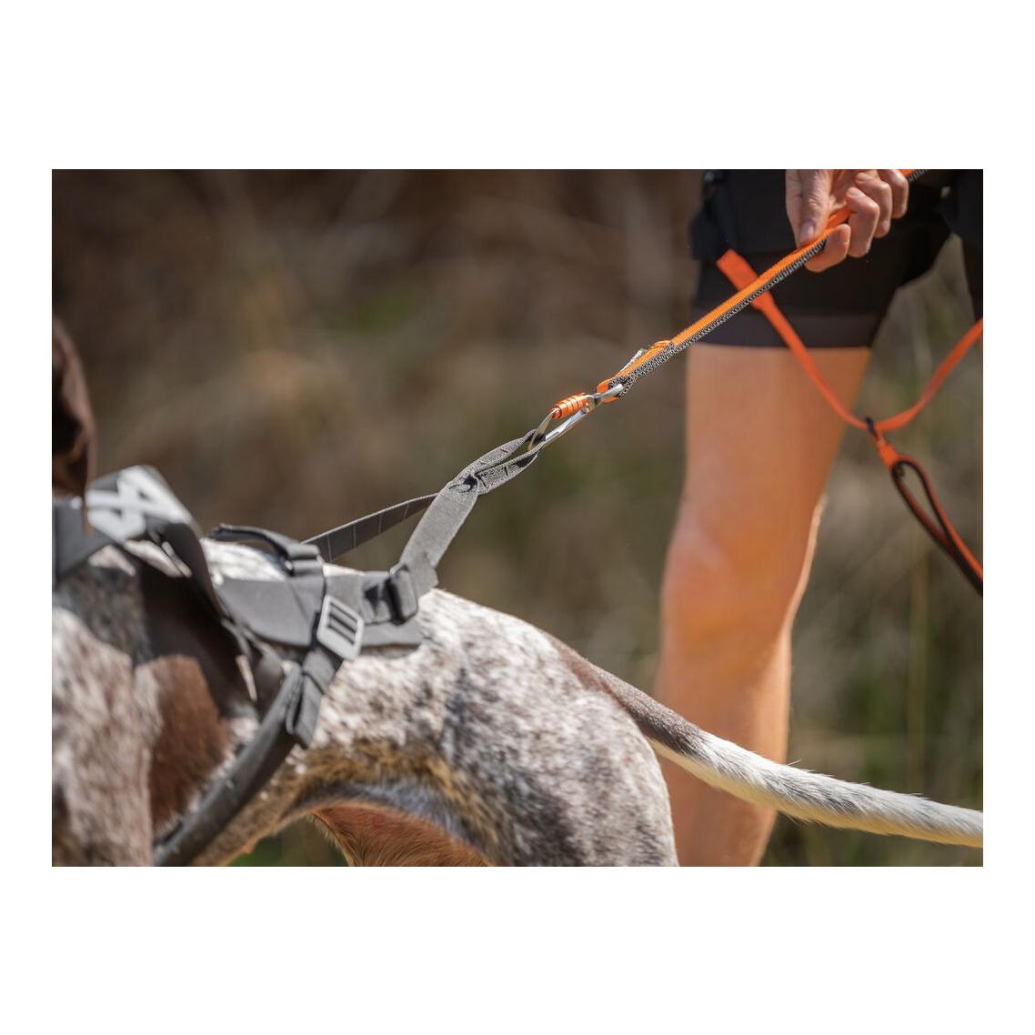 Non-stop Dogwear Hundegeschirr Freemotion harness pro