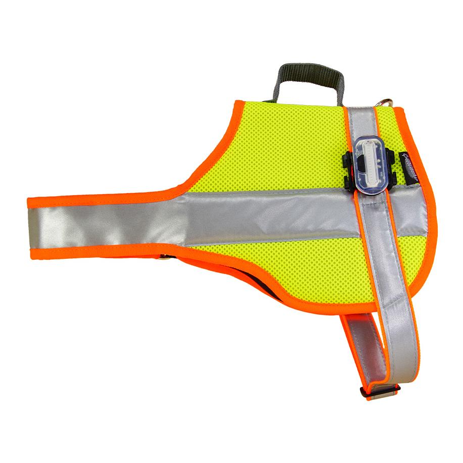 Beat Grossenbacher Hundeleuchtdecke Balou Profi  mit Led Lampen