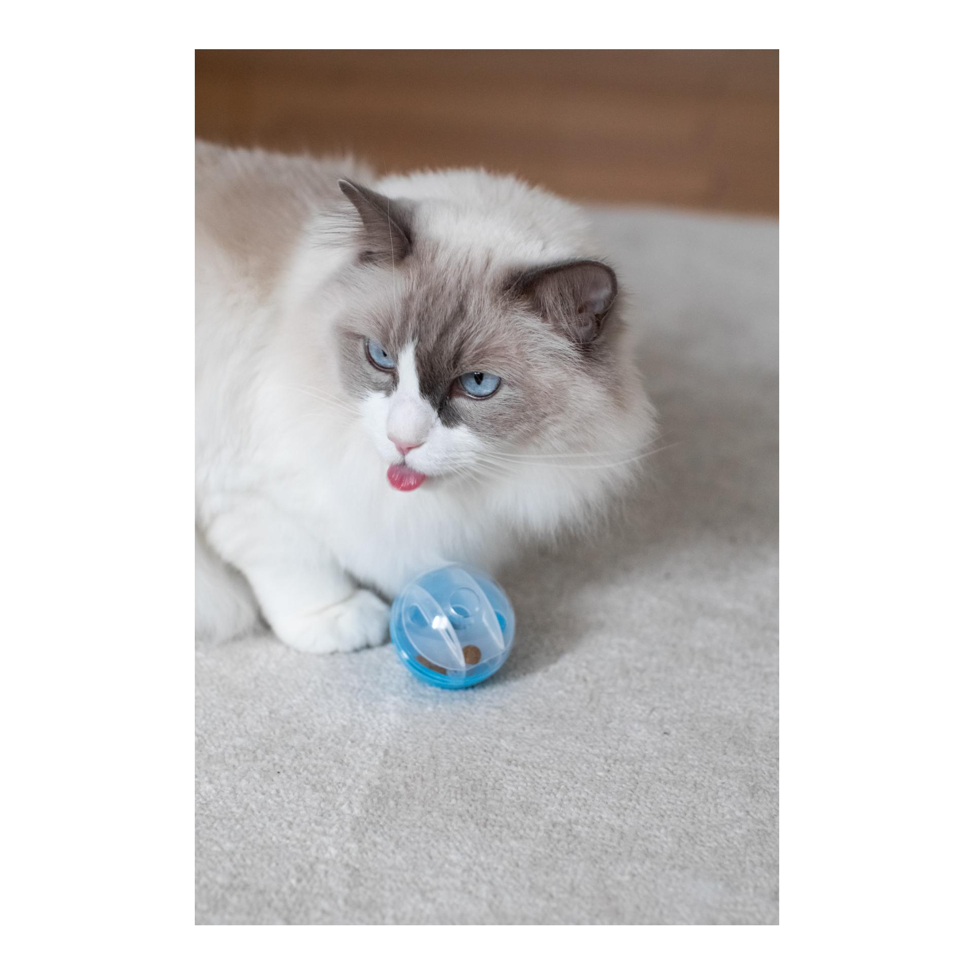 Kerbl Pet Snackball pour chats