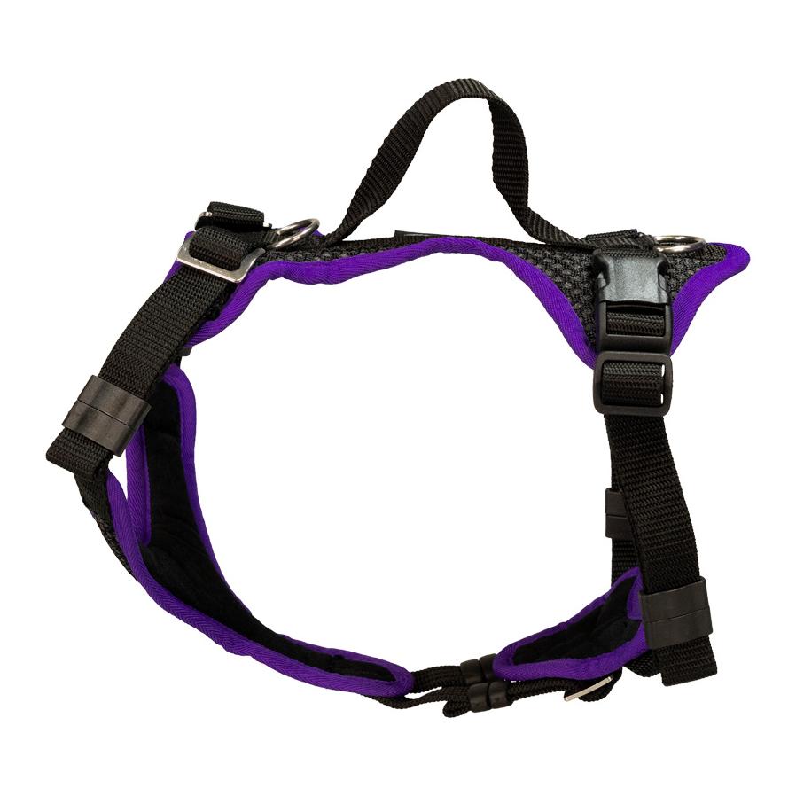 Schwarz/Violett