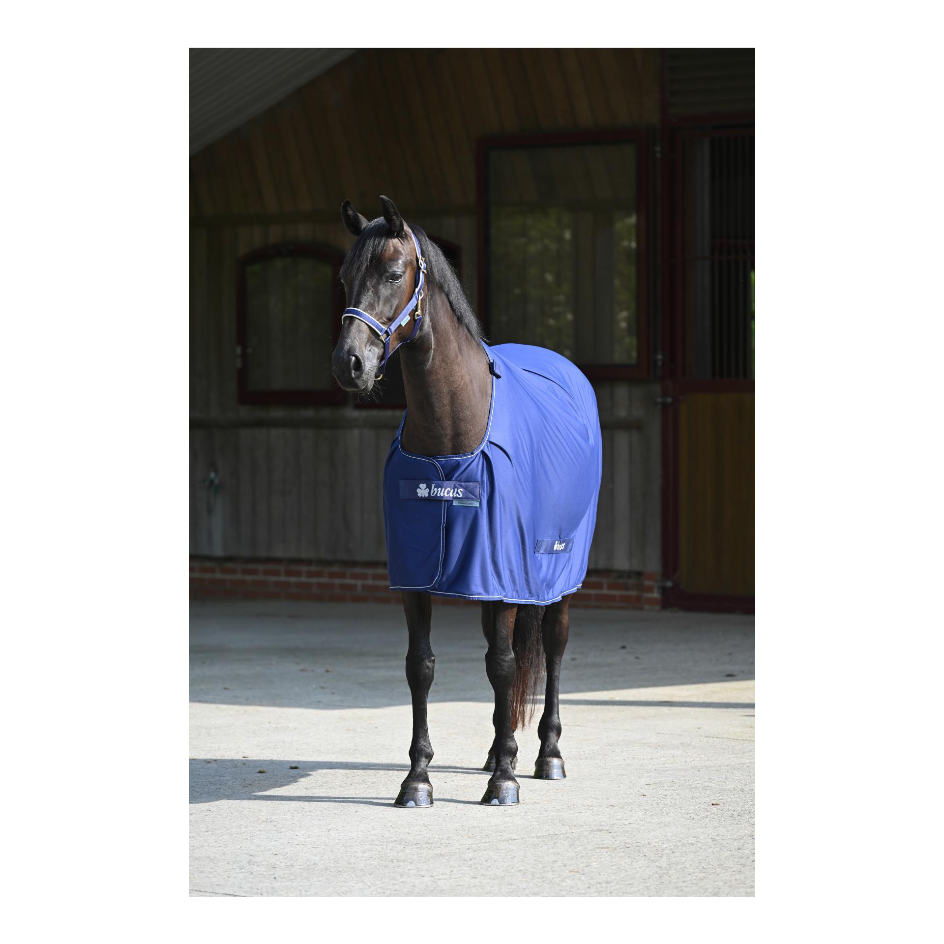Bucas Abschwitzdecke Power Cooler - blau