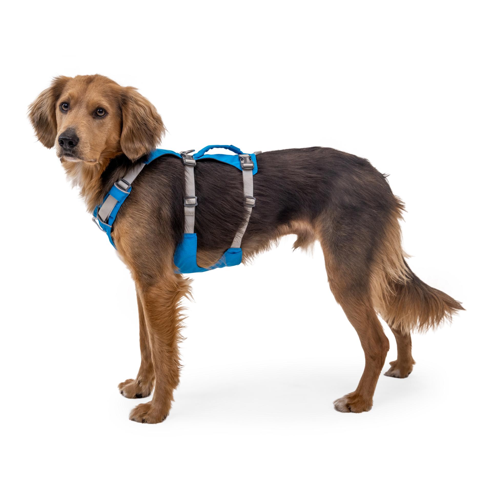 Ruffwear Harnais Flagline™