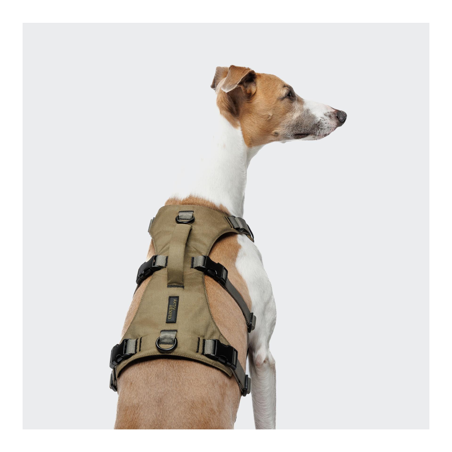 Cloud 7 Y-Safe harnais pour chiens