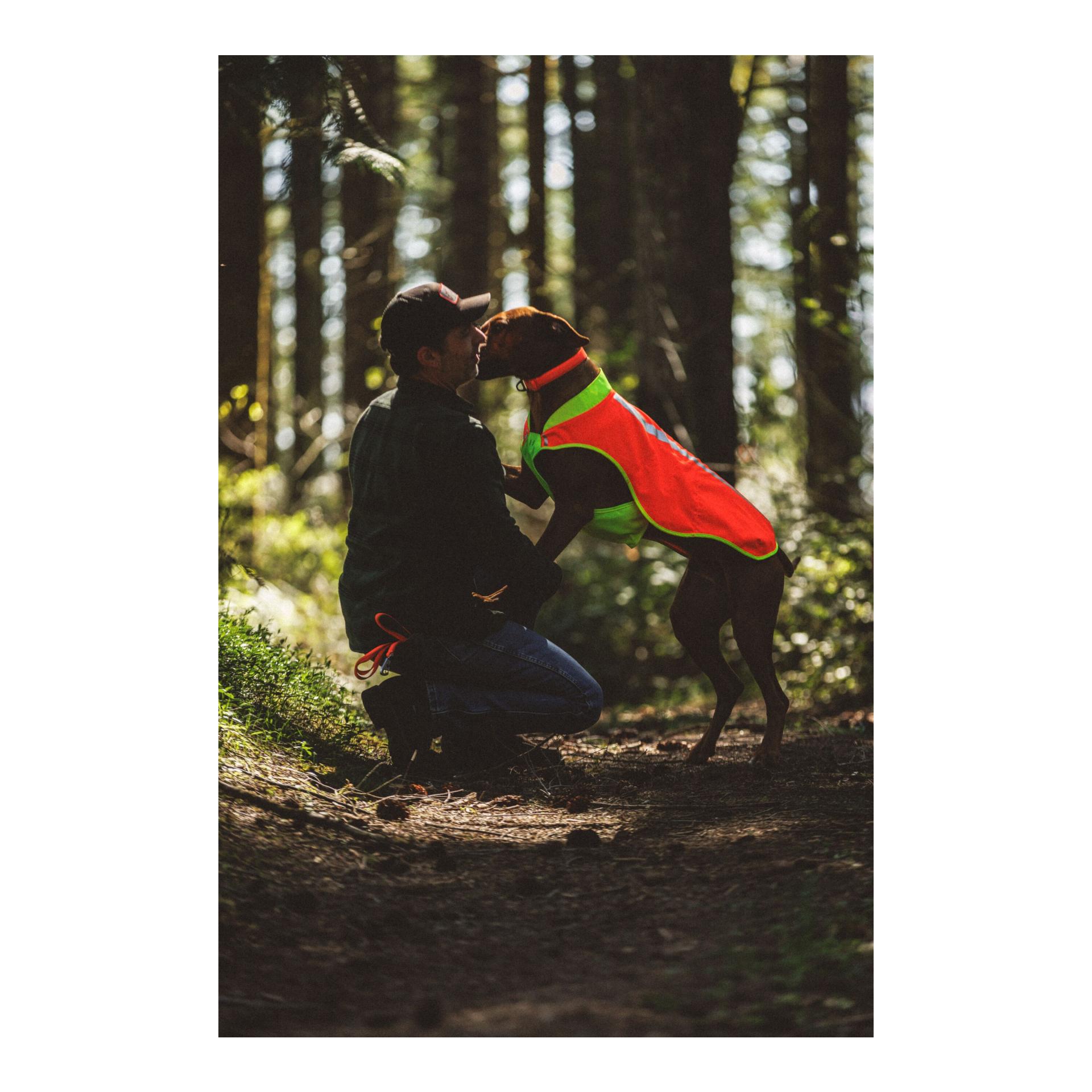 Ruffwear Lumenglow™ High-Vis Hundeweste