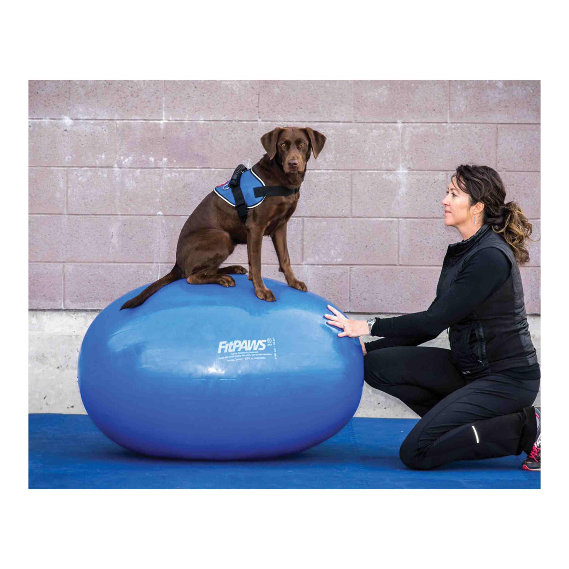 FitPaws Egg